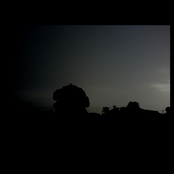 Post Brown Curses Lasts for Long