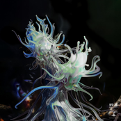 Calvin Could Be Hostile