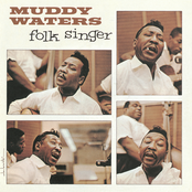 You Gonna Need My Help by Muddy Waters