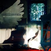 The Sound of Her Wings