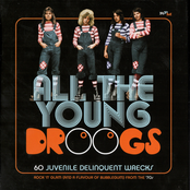 All The Young Droogs: 60 Juvenile Delinquent Wrecks