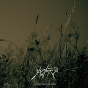 To Lay Like Old Ashes by Austere
