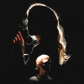 Эти цветы никогда не умрут