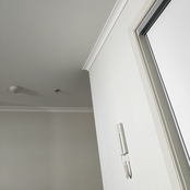 no thoughts only feelings