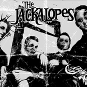 the jackalopes