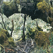 The Invisible Landscape