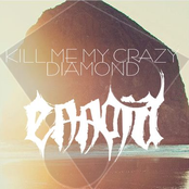 Kill Me My Crazy Diamond (Single)