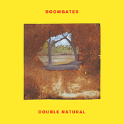 Natural Progression by Boomgates