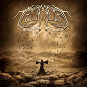 Freier Wille - Freier Geist