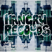 Jungle and Drum and Bass Vol.1