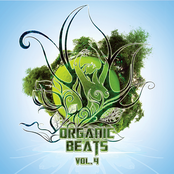Organic Beats Vol​.​ 4