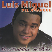 Luis Miguel Del Amargue: De Rodillas Te Pido