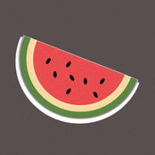 Chaz Cardigan: Haircut