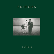 Dust In The Sunlight by Editors