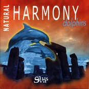 Natural Harmony Dolphins