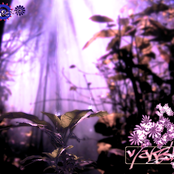 VA - Kesä 2006 / www.antiscarp.com