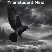 Rise in the twilight