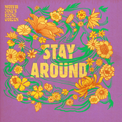 Stay Around