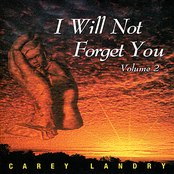I Will Not Forget You, Vol.2
