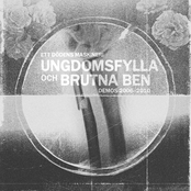 Ungdomsfylla och brutna ben – Demos 2006-2010