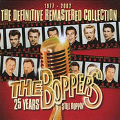 Crying In The Rain by The Boppers