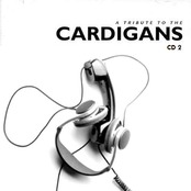 A Tribute To The Cardigans (CD 2)