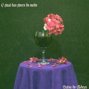 O Final das Flores do Medo