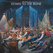 Pure Funk by Down To The Bone