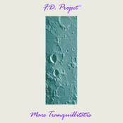 Experience by F.d. Project