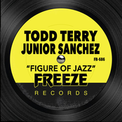 Todd Terry: Figure of Jazz