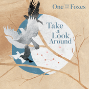 One For the Foxes: Take a Look Around