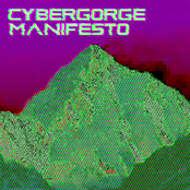 Cybergorge Manifesto