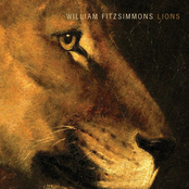 Hold On by William Fitzsimmons