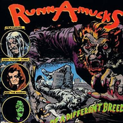 Of A Different Breed