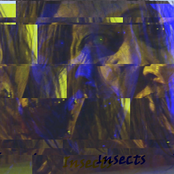 Insects - EP