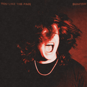 Sunfish: You Like The Pain