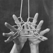 Knot