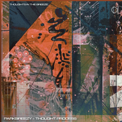 Thoughts in the Breeze