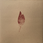 The Folklore of Plants Vol. I