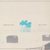 Forgotten Trees