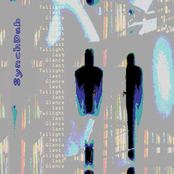 Twilight Last Glance