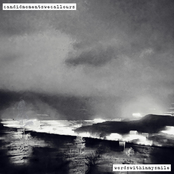 split with candidmomentswecallours