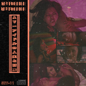 AV-アイドルの人生と冒険