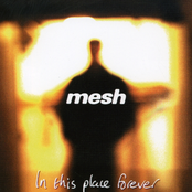 Last Breath Of You by Mesh