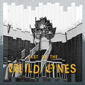 Last of the Wild Ones