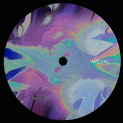 Ninja Tune Presents: Weval (DJ Mix)