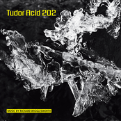 Tudor Acid 202