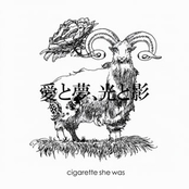 愛と夢、光と影