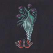 I Wish, I Wish - Single