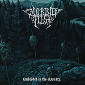 Embedded In The Ossuary (EP)